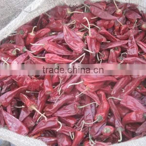 Chilli thumbnail-1
