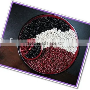 All Size New Crop Kidney Bean 2010 thumbnail-1