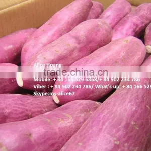 Fleshed Sweet Potato thumbnail-1