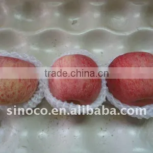 Fresh Fuji Apple thumbnail-1