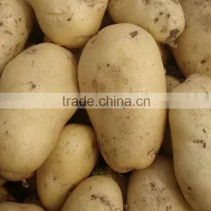 Potato thumbnail-1