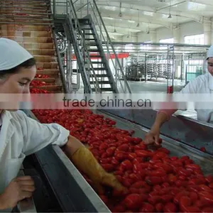 Tomato Paste With Good Quality Fresh Tomato Paste thumbnail-5