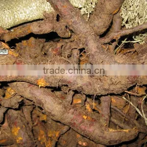 GMP Natural High Quality Tran-Resveratrol/Giant Knotweed Extract Powder thumbnail-4