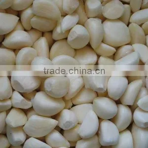 IQF Garlic thumbnail-1