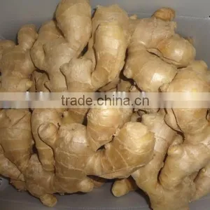 Fresh Mature Ginger thumbnail-1