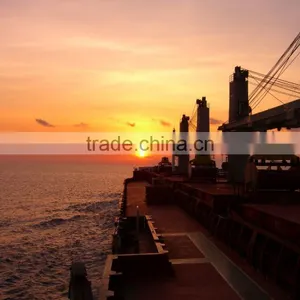 Voyage Charter for Bulk Vessels thumbnail-2
