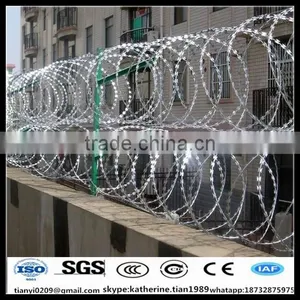 High Tensile Hot Dipped Galvanized Concertina Razor Wire Sharp Blade Barbed Wire for Security Fence for Sale thumbnail-6