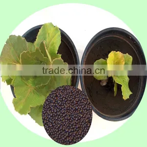 High Grade Natural Microbial TE Fertilizer thumbnail-6