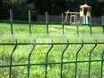 Fence thumbnail-1