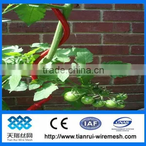 Galvanized Tomato Spiral Wire/tomato Support Wire thumbnail-1