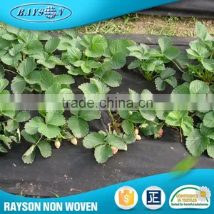 China Supplier Mulching Flower Wrapping Material Agriculture Black Plastic Film thumbnail-2
