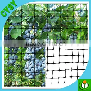 Green Color PE Climbing Plants Support Plastic Network thumbnail-2
