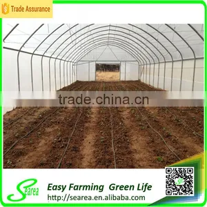 Low Cost Plastic Agriculture Greenhouse thumbnail-1