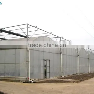 BLD Large Multi-span Plastic Film Green House and Commercial Green House for Plant Growth thumbnail-6