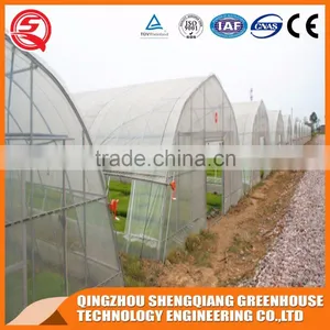 Multifunction Plastic Film Greenhouse for Vegetables Planting,flowers,culture thumbnail-5