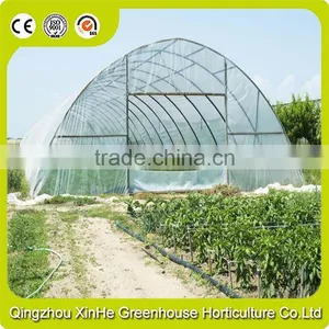 High Quality Wholesale PE Film Greenhouse For Industrial/Agricultural thumbnail-1