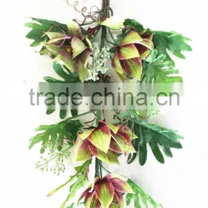 SD800918 Spring Flower Medinilla Magnifica Flower Decoration thumbnail-1
