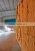 Coconut Fiber in VietNam thumbnail-1
