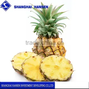 Fresh Pineapple Import Agency China Trade Agent Fresh Fruit thumbnail-1