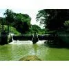 Rubber Dam thumbnail-2