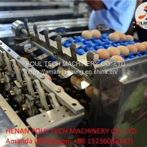 Automatic Egg Grading Equipment & Automatic Egg Packing Equipment thumbnail-1