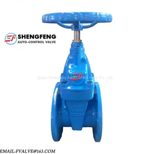 DIN3202 F4 DN50 Cast Iron EPDM Water Gate Valve thumbnail-1
