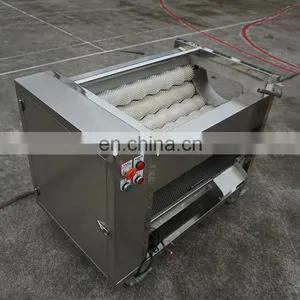 Promotional Device Indian Onion Potato Ginger Washer Vegetable Yam Peeling Machine thumbnail-5