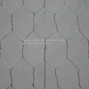 Hot Sale Poutry Netting/pvc Coated Hexagonal Wire Mesh thumbnail-1