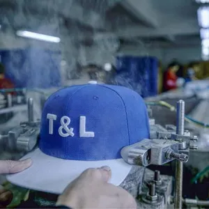 T And L Cap Manufactory Co.ltd company overview - view 2 thumbnail