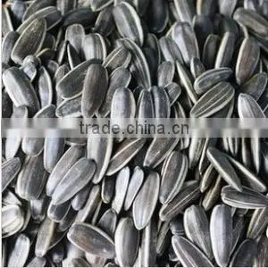 Hulled Sunflower Seeds thumbnail-1