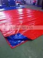 PE TarpaulinCanvas thumbnail-6