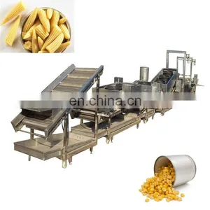 Fully Automatic Mushroom Canning Machine thumbnail-1