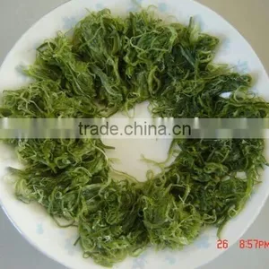 No Seasoning Frozen Wakame Stem Seaweed Raw Material thumbnail-1