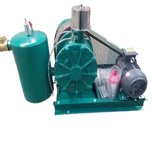 Low-noise Sewage Aeration Blower, Rotary Blower, Oxygenation for Fishpond Farming, Integrated Sewage Treatment thumbnail-1
