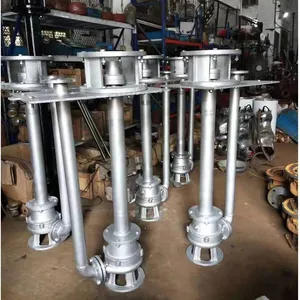 Concentrated Sulfuric Acid Pump, fy Type Stainless Steel Submerged Pump Fy50 - 25 Long - Shaft Vertical Centrifugal Pump thumbnail-1
