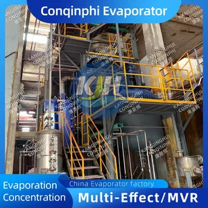 1 Year Warranty Vacuum Evaporator-Crystallizer With On-Site Commissioning and Training thumbnail-2