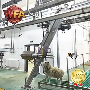 30–800 Heads Per Day Turnkey Sheep Butchery Line Complete Goat Slaughter Processing Machinery thumbnail-4