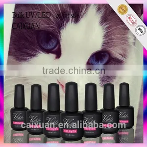 Factory Price Fashion Cat Eye Color Gel Nail Polish Oem thumbnail-2