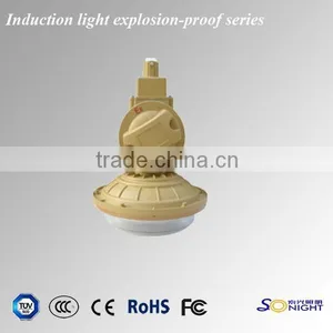 Aluminum,PC Materials Explosion-proof Lighting Electrodeless Lamp thumbnail-1