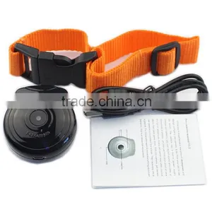 MD1113 OEM Mini Camera for Animals Mini Digital Pet Camera Quality Choice thumbnail-1