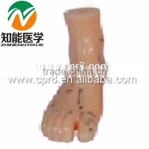 BIX-Y1021 Foot Acupuncture Model 13CM thumbnail-1