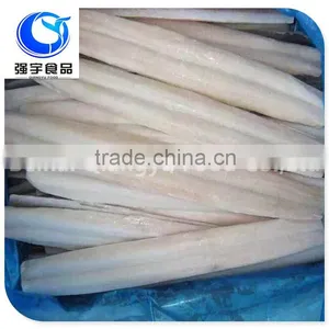 Fresh Frozen Fish Frozen Eel Fish thumbnail-2