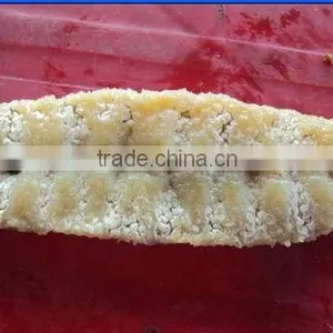 Sea Cucumber thumbnail-1