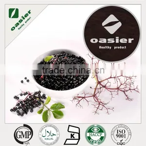 Natural ISO KOSHER Elderberry Anthocyanin 5%-25%/Natural Food Supplement Elderberry Extract thumbnail-1