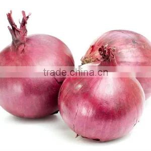 Lal Fresh Onions thumbnail-1