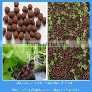 Expanded Clay Pebbles Soil in Plant Growingbed thumbnail-1