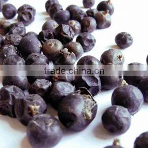 Juniper Berry Oil Extracted From Dried Ripe Fruits by Steam Distillation thumbnail-1