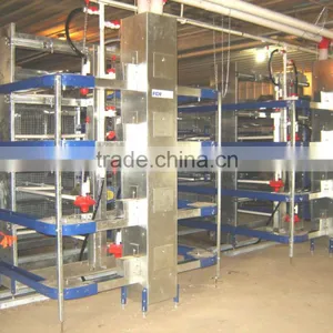 Practical Design Layer Chicken Cage for Pakistan Chicken Farm thumbnail-2