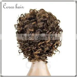 100% Premium Synthetic Wig Short Wig Afro Kinky Curly Wig for Black Women thumbnail-3
