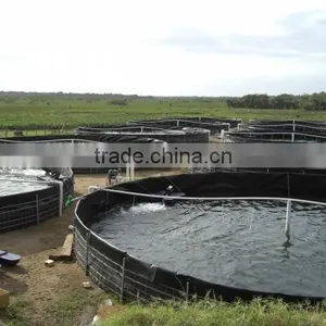 HDPE Outdoor Fish Tanks System Used for Aquaponics thumbnail-1